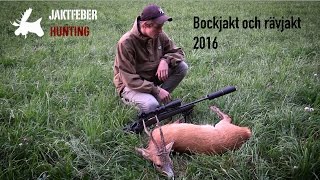 JAKTFEBER Bockjakt amp Rävjakt 2016 [upl. by Ruthie]