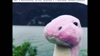 Loch Ness monster Nessie caught on tape funny unbeleivable [upl. by Nahtnamas]