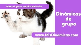 ▶️ Activador pasando el gesto risoterapia dinamicas teambuilding [upl. by Kakalina]