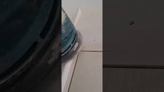 Architrave joints construction wood carpentry carpentrytips diy diywoodworking [upl. by Strickler]