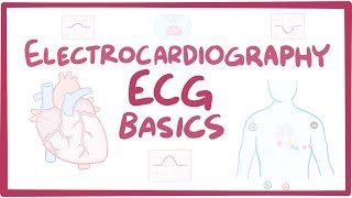 Electrocardiography ECGEKG  basics [upl. by Rick]