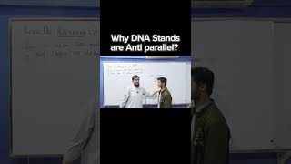 Why DNA strands are anti parallel 12thbiologyclass biologyclass biologyclass12 biologyclass12th [upl. by Edelman895]