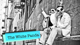 White Panda  Ice Cream Woman White Town amp Dorrough mashup remix [upl. by Gallard]