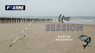 Enfin du Poisson sur la Côte dOpale [upl. by Zsazsa]