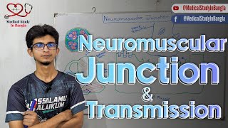 Neuromuscular junction physiology in bangla  Neuromuscular transmission Myasthenia gravis [upl. by Llet]