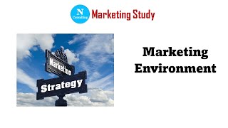 Marketing Environment [upl. by Martreb5]