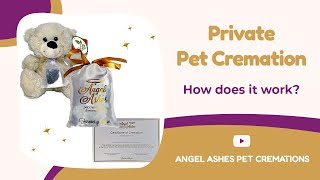 Angel Ashes Pet Cremations  Private Pet Cremation Service Information [upl. by Geesey]