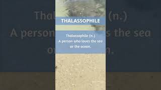 Thalassophile shorts newwords sea [upl. by Anilocin748]