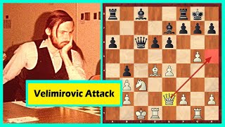 A Fantastic Move In Velimirovic Attack [upl. by Ellenor421]