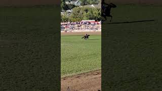 Pendleton Roundup Chapter 5 satisfying pendletonroundup pendleton barrelracing [upl. by Hurst]