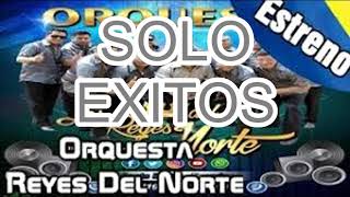 LOS TIGRES DEL NORTE MIX DJ ALBERT [upl. by Edlitam]