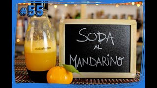 55 Basi e Premix  Come preparare la SODA al MANDARINO con spremuta fresca  by Elia Calò [upl. by Hooker760]