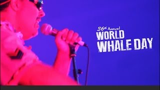 World Whale Day 2016 [upl. by Eannaj]