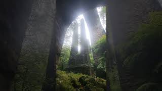 Ivybridge Viaduct explore adventure devon viaduct old victorian lunchtime walk railway [upl. by Akemeuwkuhc]