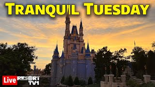 🔴Live Tranquil Tuesday at Magic Kingdom  Walt Disney World Live Stream  13024 [upl. by Hodges]