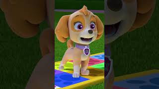 Paw Patrol  La Squadra dei Cuccioli  Liberty e Skye giocano a quotPUP PUP BOOGIEquot Shorts [upl. by Nashbar]