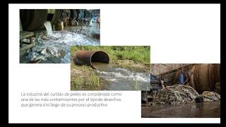 quotContaminación de agua por industrias curtidurías en el estado de León Guanajuatoquot [upl. by Carney413]