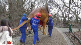 New Worlds  Aufbau der Magischen Lichterwelten 2019 im Zoo Halle [upl. by Mariande469]