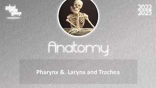 Tut 1 part 1 Pharynx amp larynx and Trachea Anatomy [upl. by Ardin162]