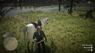 Red Dead Redemption 2  Mission 35  Preaching Forgiveness as He Went Gold Medal [upl. by Welles398]