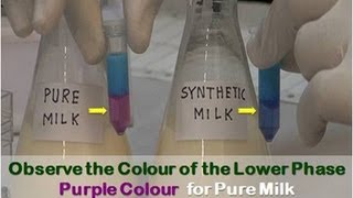 Detection of Adulteration in Milk  Amrita University [upl. by Mieka]