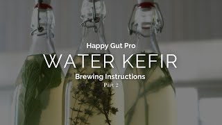 Water kefir brewing instructions  Part 2 [upl. by Leggett]