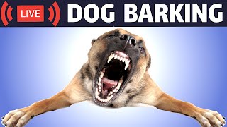 Dog Barking Sound  Dogs Barking Live Bark [upl. by Ronald]