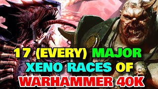 17 Every Major Xeno Races Of Warhammer 40k Universe  Explored [upl. by Janeva]