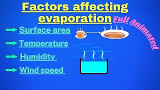 Factors affecting evaporation by Concept Learning animation class9science evaporation [upl. by Alyakem100]