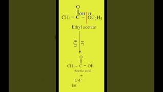 Acid Hydrolysis of Esters  Ethyl acetate to Acetic acid amp Ethanol  Organic Chemistry  cbse [upl. by Namref]