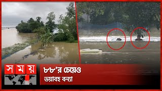 হঠাৎ বন্যায় তলিয়ে যাচ্ছে গ্রামের পর গ্রাম  Flood News  Heavy Rain  Sherpur  Mymensingh Somoy TV [upl. by Eseeryt]