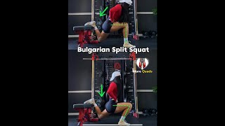 Bulgarian split squat tips more glutes vs more quads [upl. by Lertram]