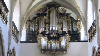 Georg Muffat Passacaglia aus Apparatus musicoorganisticus [upl. by Aivull]