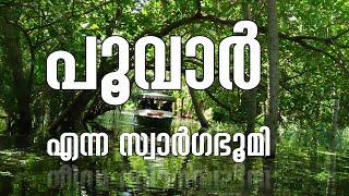 🚤 Poovar Backwater Boating Guide  Rates Timings Attractions and Floating Villas  Kerala Tourism 🌴 [upl. by Nisaj]