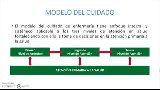 1 Proceso de Atención de Enfermería Modelo del cuidado de la enfermería en México [upl. by Ahtennek]