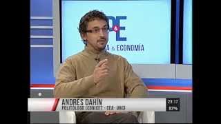 Las encuestas según Andrés Daín  PampE  12082015  Bloque III Parte I [upl. by Deevan423]