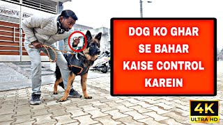 German shepherd outdoor training for better control Dog training in hindi [upl. by Grannia]