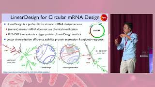 Liang Huangs invited talk 11th mRNA Health Conference Berlin 23 Optimized mRNA Design Nature [upl. by Dygert]