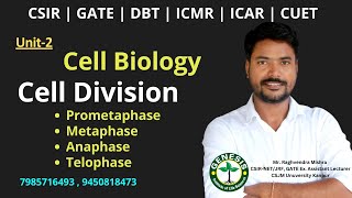 Prometaphase  Metaphase  Anaphase  Telophase  Cell Biology  Unit2 genesisinstitute [upl. by Inamik256]