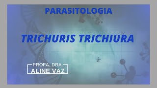 Ciclo biológico Trichuris trichiura  Trichuris trichiura  Parasitologia [upl. by Vyner513]