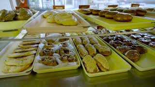 Local treasure Flandreau Bakery and Coffee Bar South Dakota [upl. by Aloel]