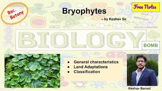 Bryophytes  General Characteristic amp classification  Bsc  Free PDF notes  by Viologia EXtrema [upl. by Towrey92]