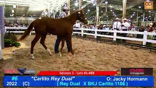 Triangle Horse Sales Day 1 Oklahoma City OK 050523 [upl. by Ybbob393]