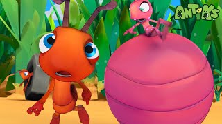 Fast Food  😄🐜 Antiks Adventures  Joey and Boos Playtime [upl. by Ahsikal]