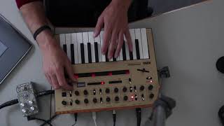 Korg monologue custom patches  Polara [upl. by Benil]