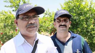 Visitors from India on a tour to Magal during Agritech Israel 2012 [upl. by Eessac]