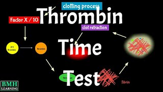 Thrombin Time Test  TT Test  Thrombin Clotting Time Test [upl. by Ijic]