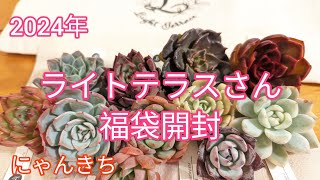 【多肉植物】2024年ライトテラスさん福袋開封 今年も宜しくお願い致します🙇 [upl. by Nayllij]