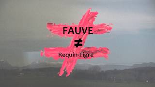 Fauve  RequinTigre Paroles [upl. by Maxy]