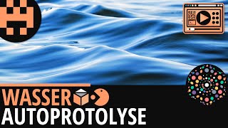 Wasser Autoprotolyse│Chemie Lernvideo Learning Level Up [upl. by Hinch]